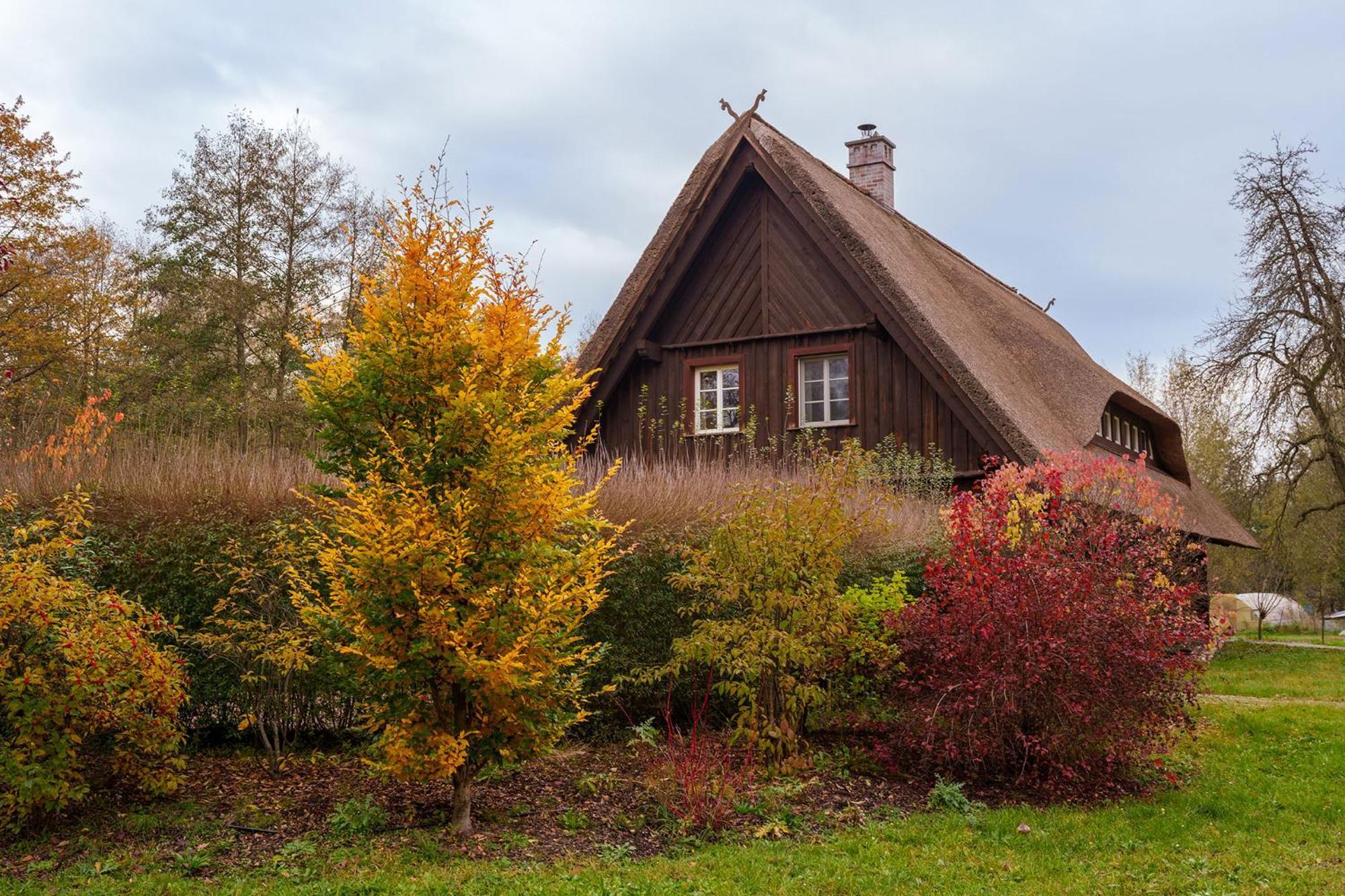 Villa Exklusives Holzhaus Burg  Esterno foto